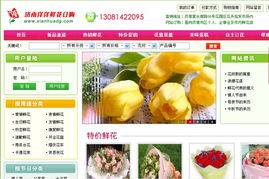 濟南網(wǎng)站建設(shè)與優(yōu)化服務全解析 從制作到推廣再到備案