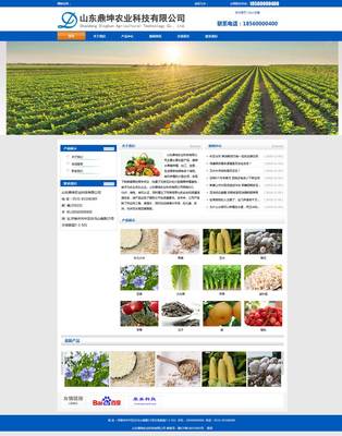 山東鼎坤農(nóng)業(yè)企業(yè)網(wǎng)站建設(shè)成功案例 康美科技助力濟南農(nóng)業(yè)品牌數(shù)字化轉(zhuǎn)型